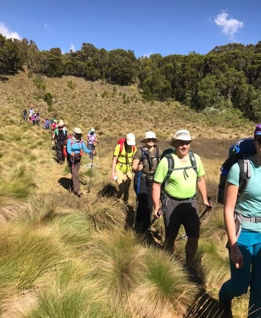 Beyond the Climb: What to Do Around Marangu Summit Lodge